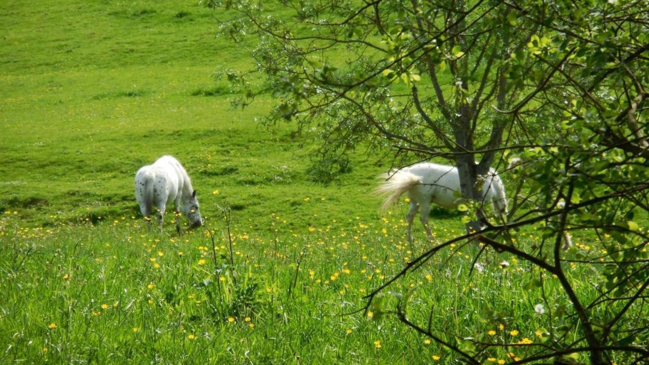 فيلا Appaloosa Lormes المظهر الخارجي الصورة