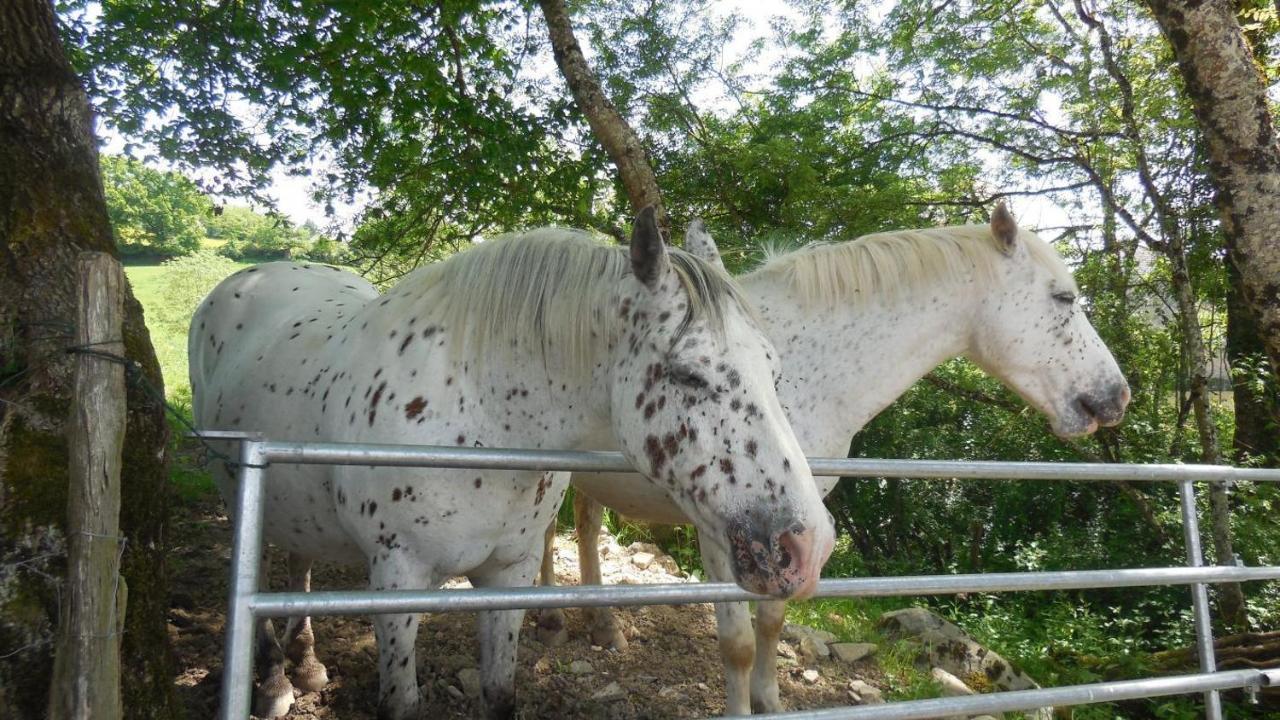 فيلا Appaloosa Lormes المظهر الخارجي الصورة